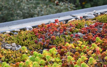 the cost of Lerryn green roof installation