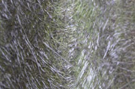 Lerryn fibreglass roof work